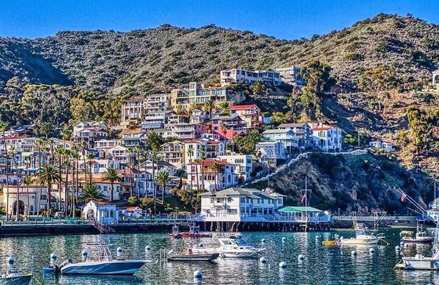 Discover Avalon: Catalina Scenic Tour