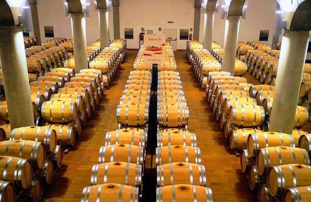 Winery tasting in Marsala and Mothia lagoon tour