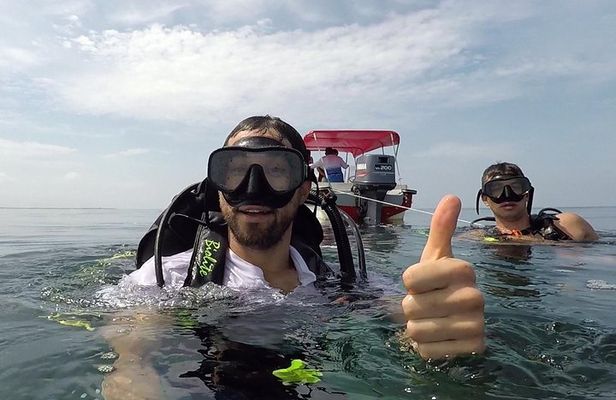 Scuba diving in Rosario Islands