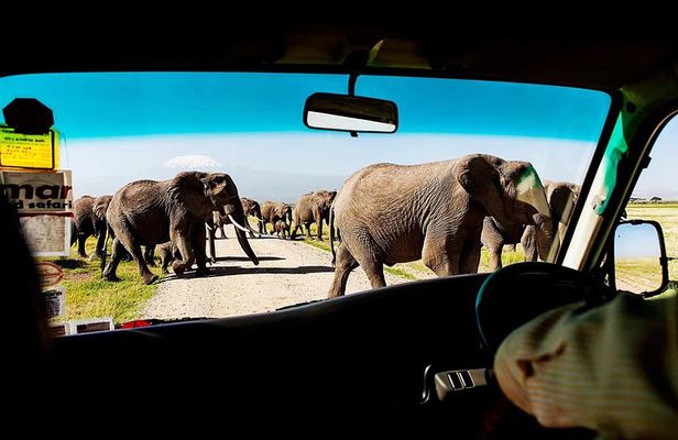 2-Day Amboseli National Park Safari- Daily Departures