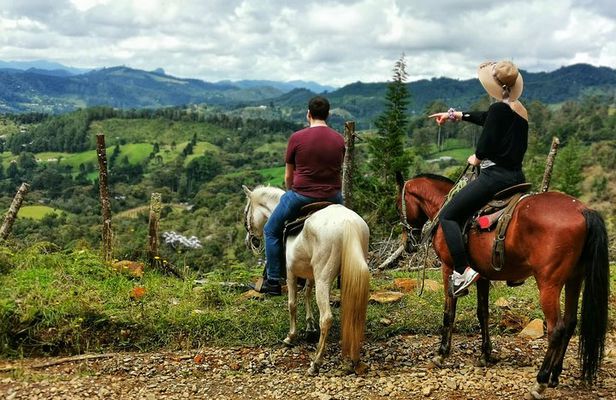 Horseback Riding in Medellin Private Tour: Great Views & Horses