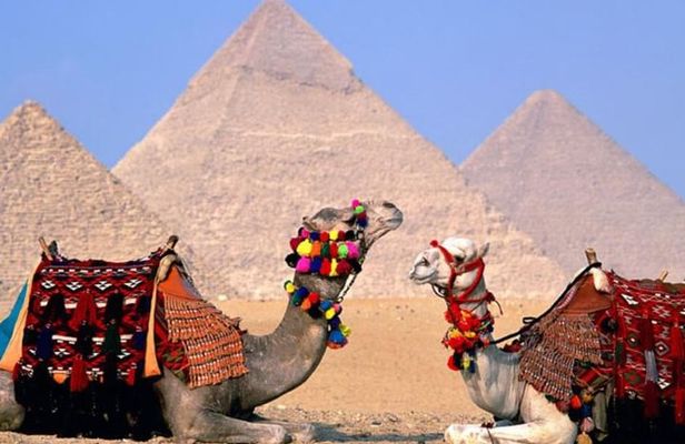 Private Tour: 8 Days 7 Nights Great Pyramids & Nile Cruise by Train from Cairo