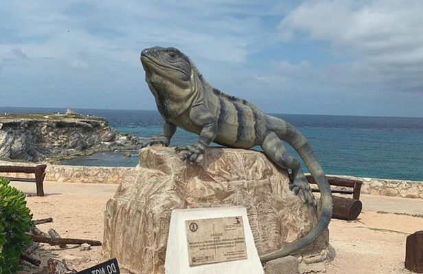 The Best of Isla Mujeres Walking Tour