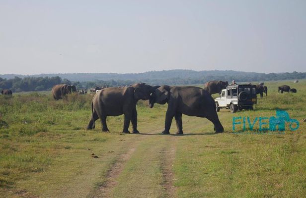 Cultural and Wildlife Expedition – 10 Days