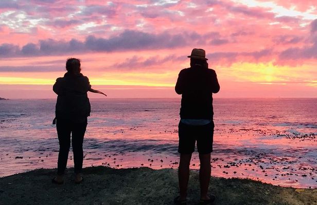 Cape Town Peninsula Day Tour ( Cape Point/Boulders/Wine Tasting)