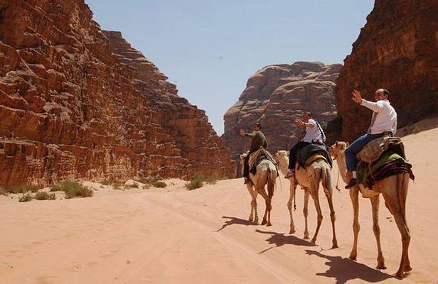 2 days 1 night in wadi rum including Dead Sea And Petra tour 