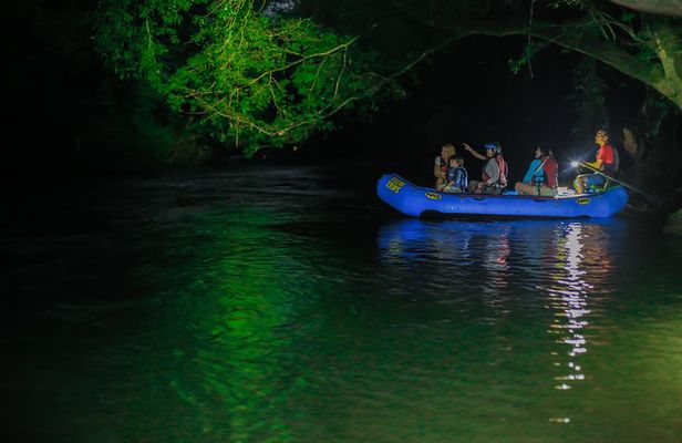 Small Group Twilight Wildlife Boat Tour in La Fortuna