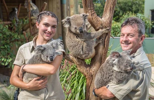 Wildlife, Wine & Waves – Epic South Coast Adventure from Sydney
