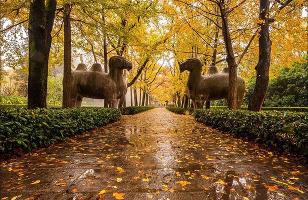 Nanjing Day Tour from Shanghai by Bullet Train