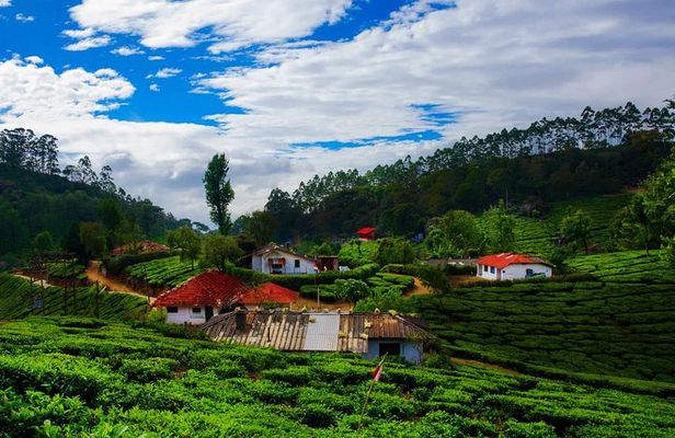 14 Days Golden Triangle tour with enchanting Kerala South India tour