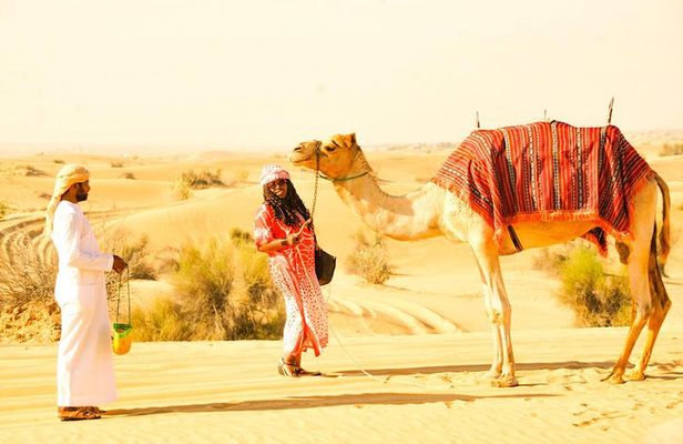 Camel Trekking & Morning Safari with Sand Boarding Falcon Photos