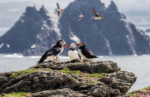 7-Day Ireland to Island Small Group Tour from Dublin 