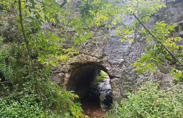Half Day Tour to Rock Hewn Church in Addis Ababa| Airport Transit Tour