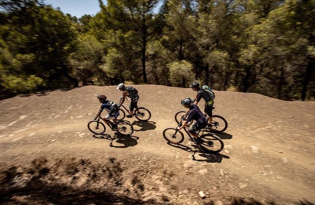 Malaga E-MTB Tour: Botanical Garden, Natural Park and Port of Malaga 