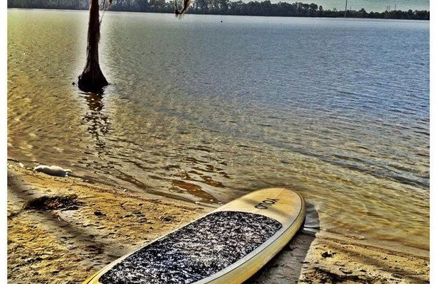 2-Hour Stand Up Paddleboard Rental from Lake Buena Vista Area