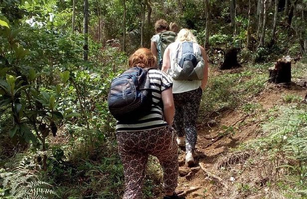 Day Trip To Lupanga Peak