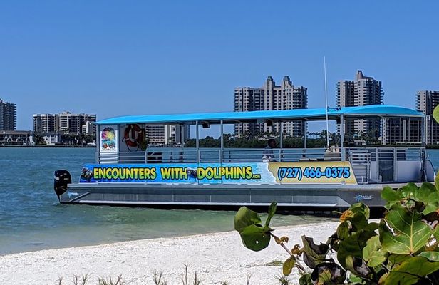 Clearwater Encounters with Dolphins Tour