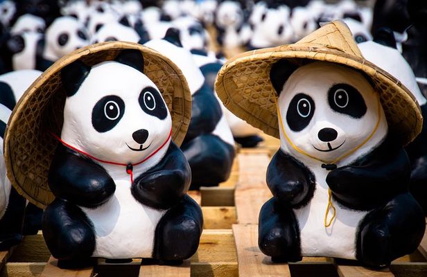 Private Day Tour: Dujiangyan Panda Base and Irrigation Project