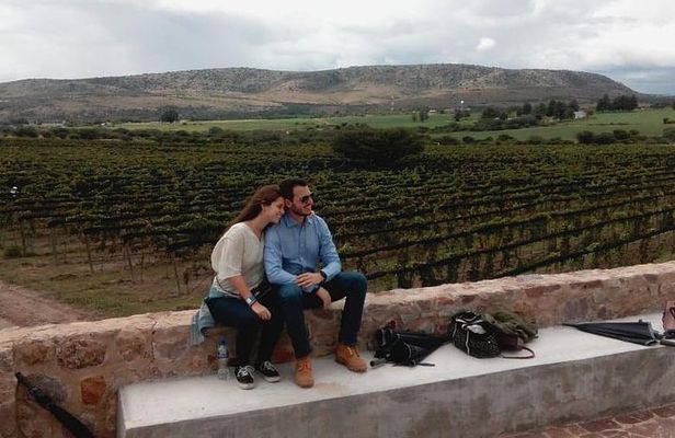 Local Vineyard Tour & Wine Tasting at the Independence Valley