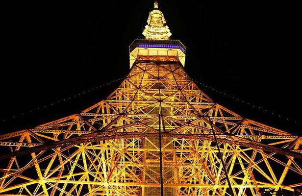 Tokyo City Night View Tour with Native Japanese Driver
