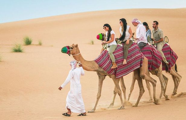 Camel Trekking and Morning Safari with Sand Boarding