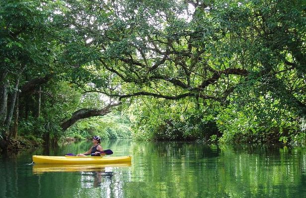 Small Group River Kayaking Tour from Port Vila