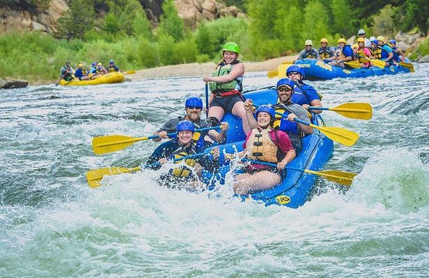 Numbers Half-Day Whitewater Rafting from Buena Vista