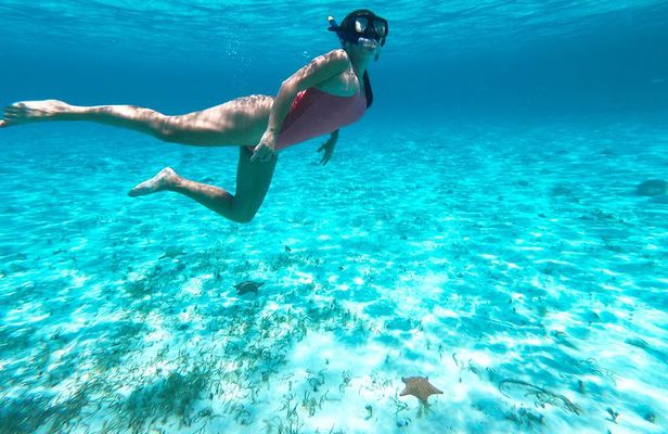 El Cielo in Cozumel
