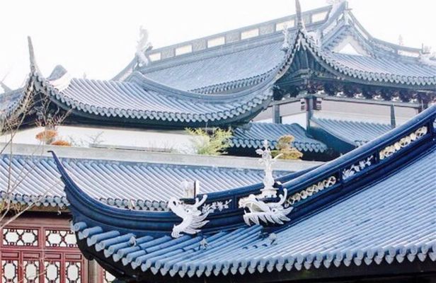 Shanghai City Tour | 8 Hours | English Speaking Driver | Tesla Luxury Sedan