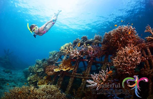 Have fun 1 day in Nusa Penida: snorkeling, kelingking & broken beach incl lunch