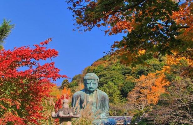 Kamakura Spanish Tour