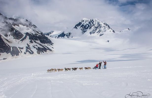 Helicopter Glacier & Dog Sledding Adventure Tour