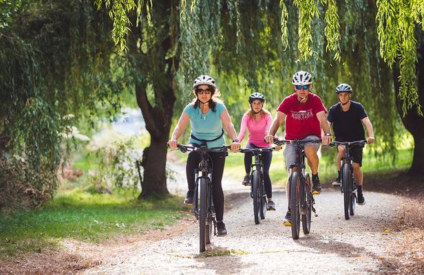 Arrowtown to Queenstown Full-Day Bike Adventure