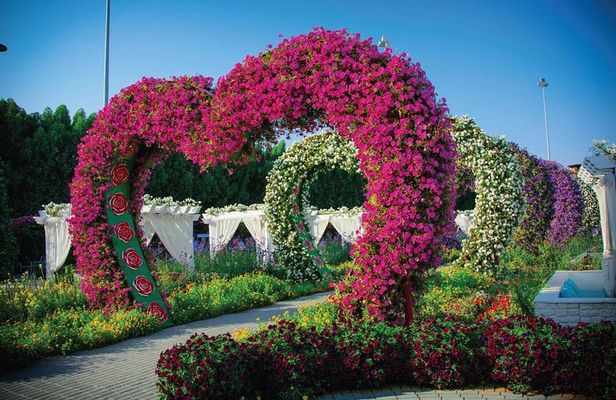 Miracle Garden: Dubai Flora and Fauna 4-Hour Tour