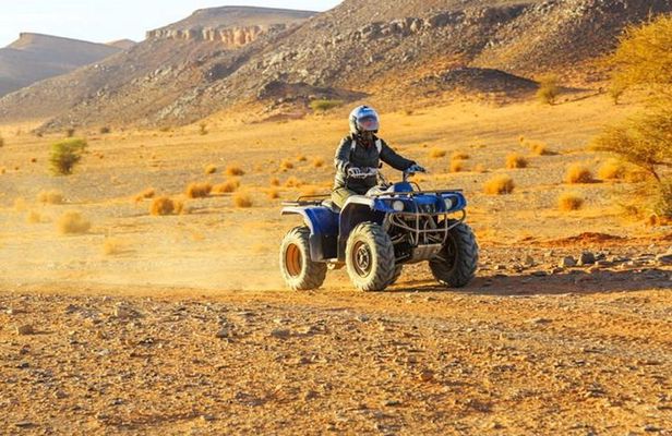 Quad and Camel ride in the palmgrove of Marrakech
