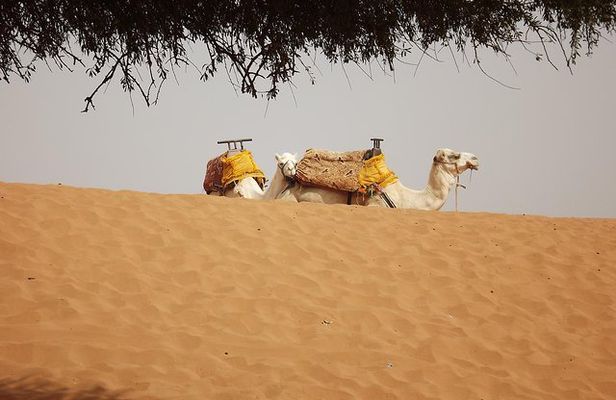 Massa 4x4 & small dunes with lunch day trip from Agadir