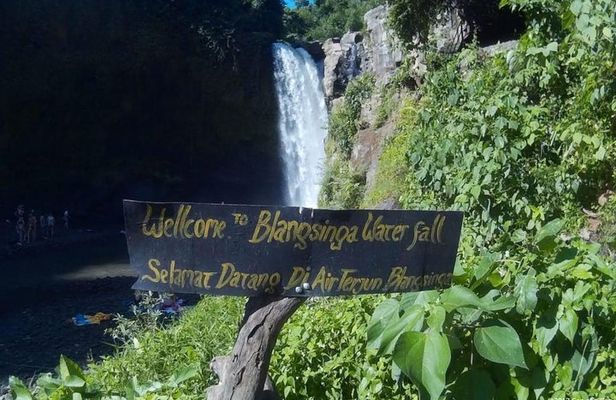 Bali Highlights : Private 2 Day Bali Tours