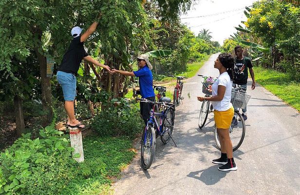  Non-Touristy Mekong Delta with Biking in Ben Tre Private Tour