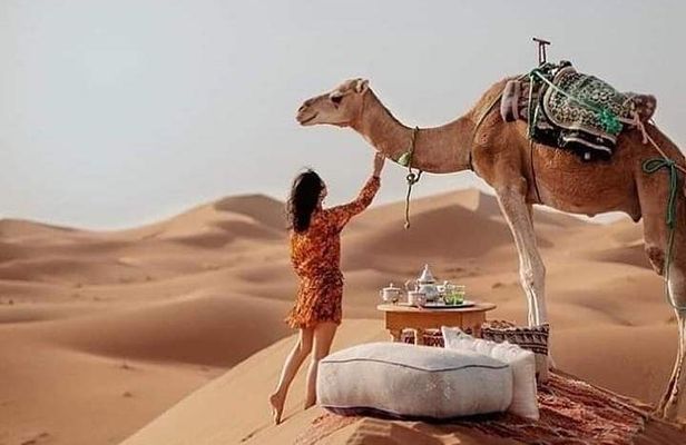 Overnight Desert Trips From Fez to Fez