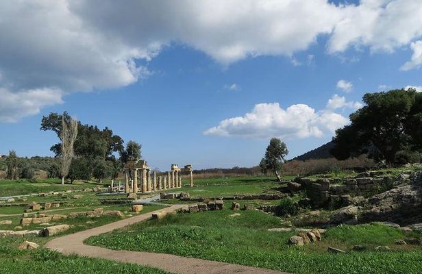 Temple of Artemis-Brauron Half Day Private Tour 4 seat