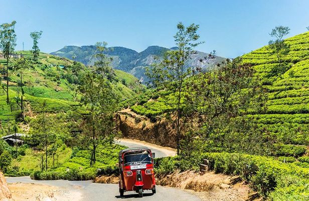 Kandy City Tour