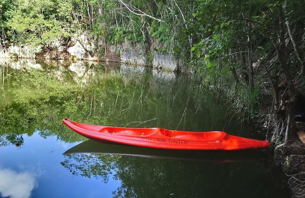 Expeditions of Cenotes in Puerto Morelos