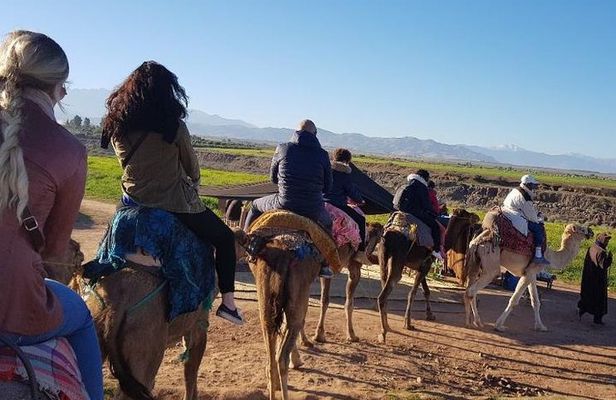 Desert Agafay camel ride atlas mountains hike all-inclusive