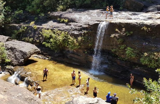 Blue Mountains Small Group Tour with Waterfall Walk & Fresh Lunch