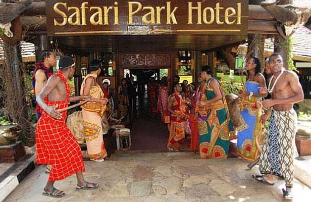 Nairobi dinner and safari cat dancers 