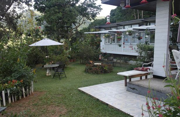 Trinidad Nature & Hummingbird Experience