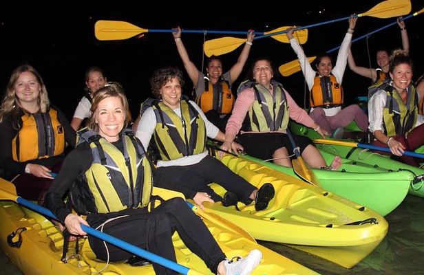 Puerto Rico Bio Bay Kayak Adventure Tour