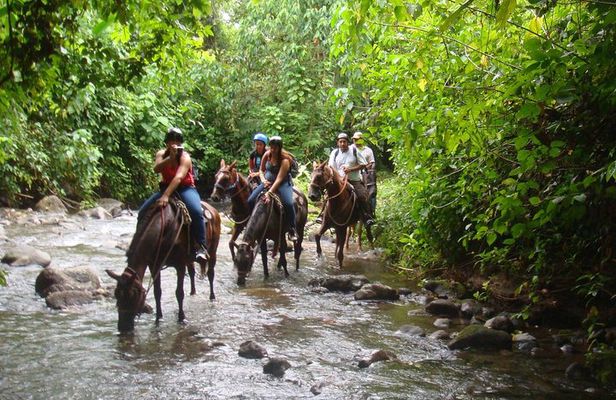 Horseback to La Fortuna Waterfall From Arenal