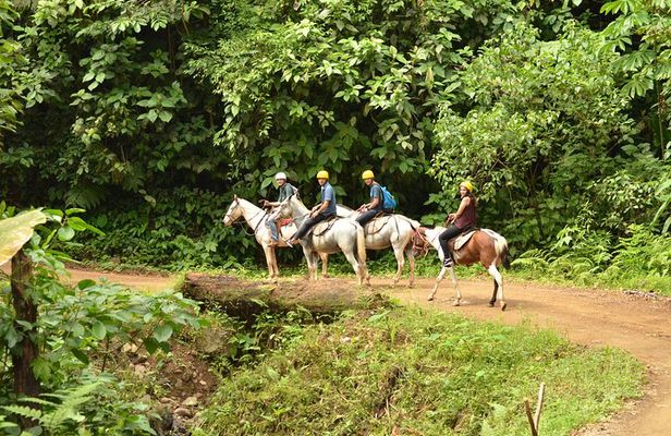 Horseback Riding Jaco
