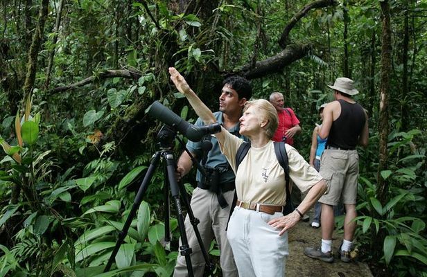 Birding Watching tour from San José